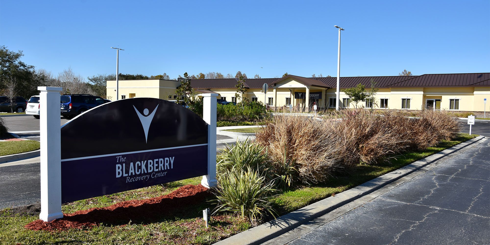 depression and substance abuse the blackberry center