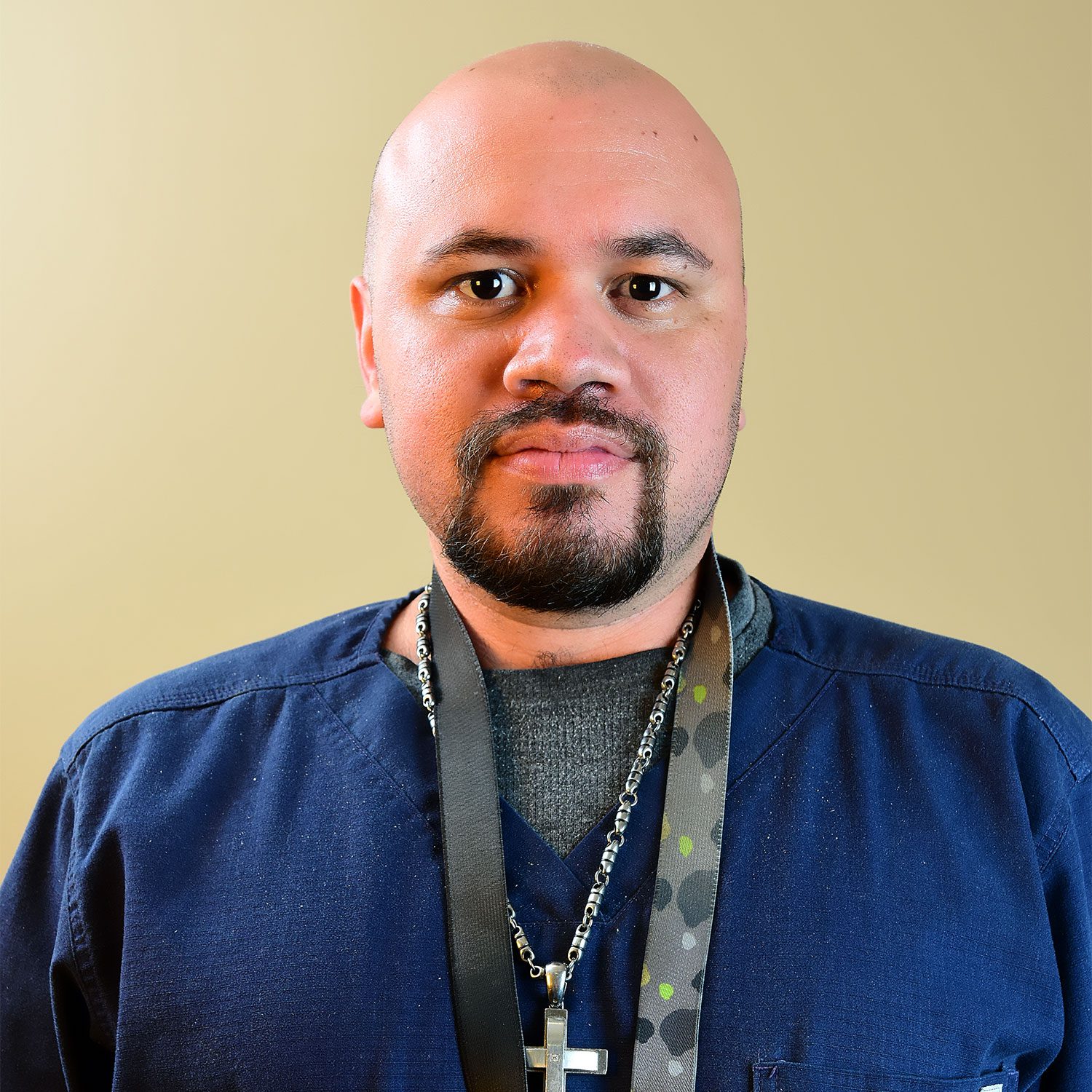 Anibal