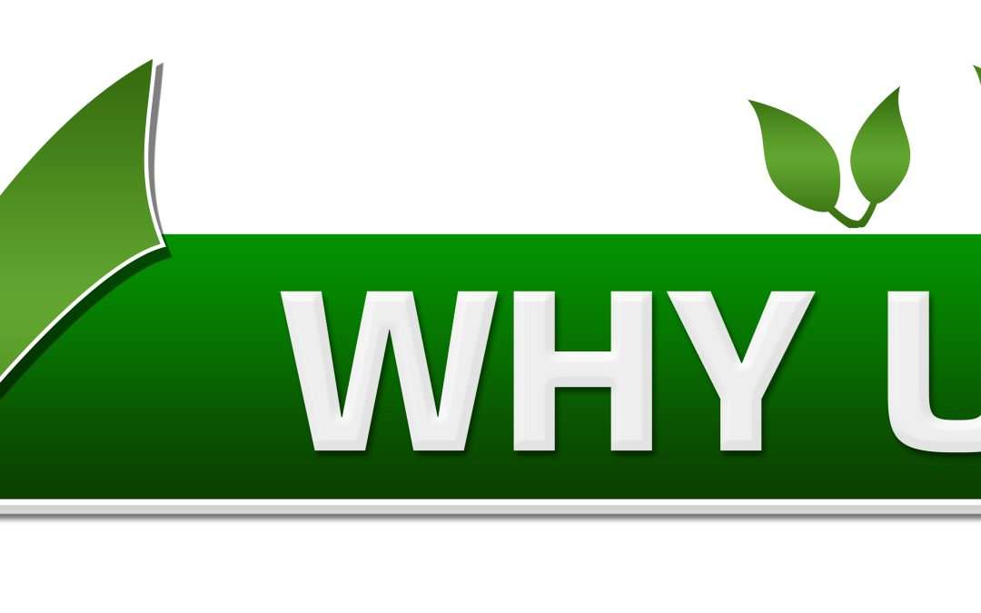 Why Choose The Blackberry Center of Central Florida