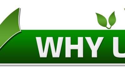 Why Choose The Blackberry Center of Central Florida