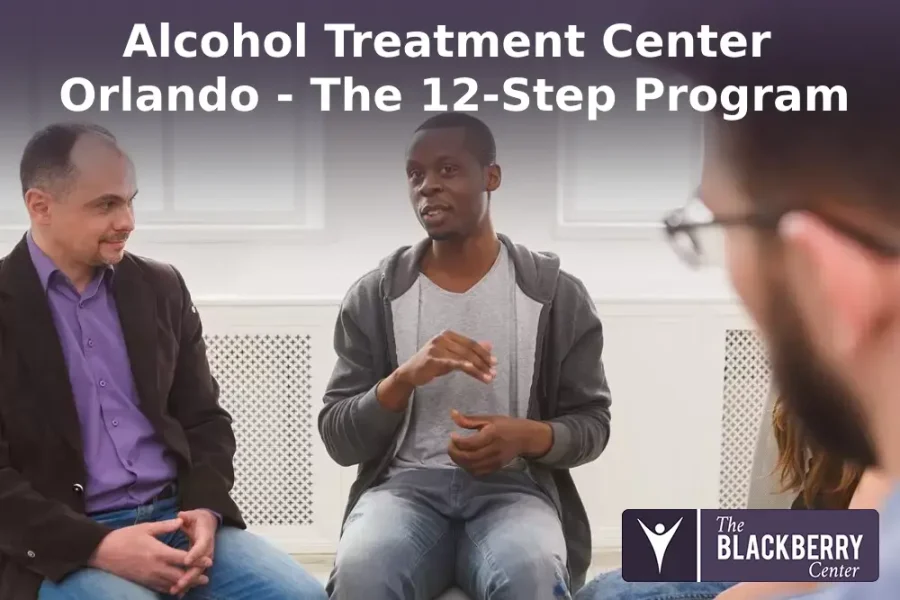 Alcohol Treatment Center Orlando - The 12-Step Program