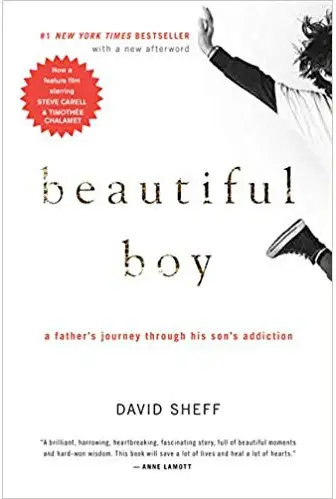 Beautiful Boy - David Sheff