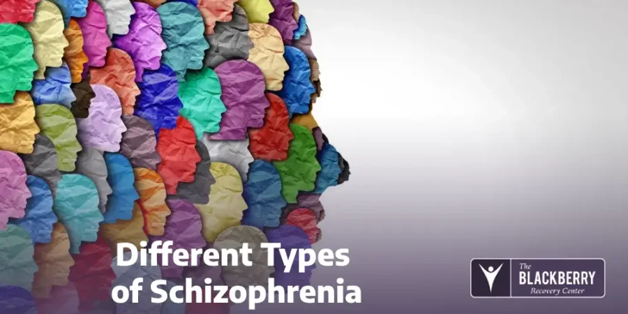 Different Types of Schizophrenia