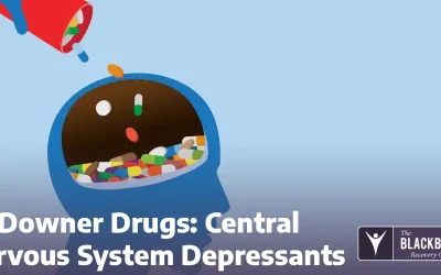 Downer Drugs: Central Nervous System Depressants
