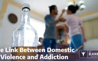The Link Between Domestic Violence and Addiction