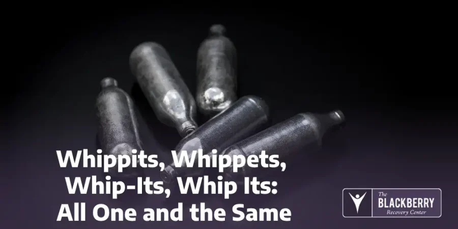 Whippits, Whippets, Whip-Its, Whip Its: All One and the Same