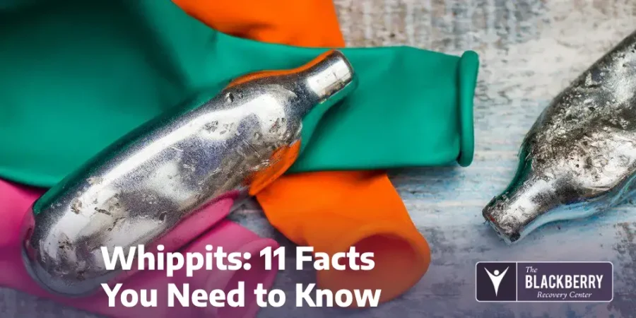 Whippits: 11 Facts You Need to Know